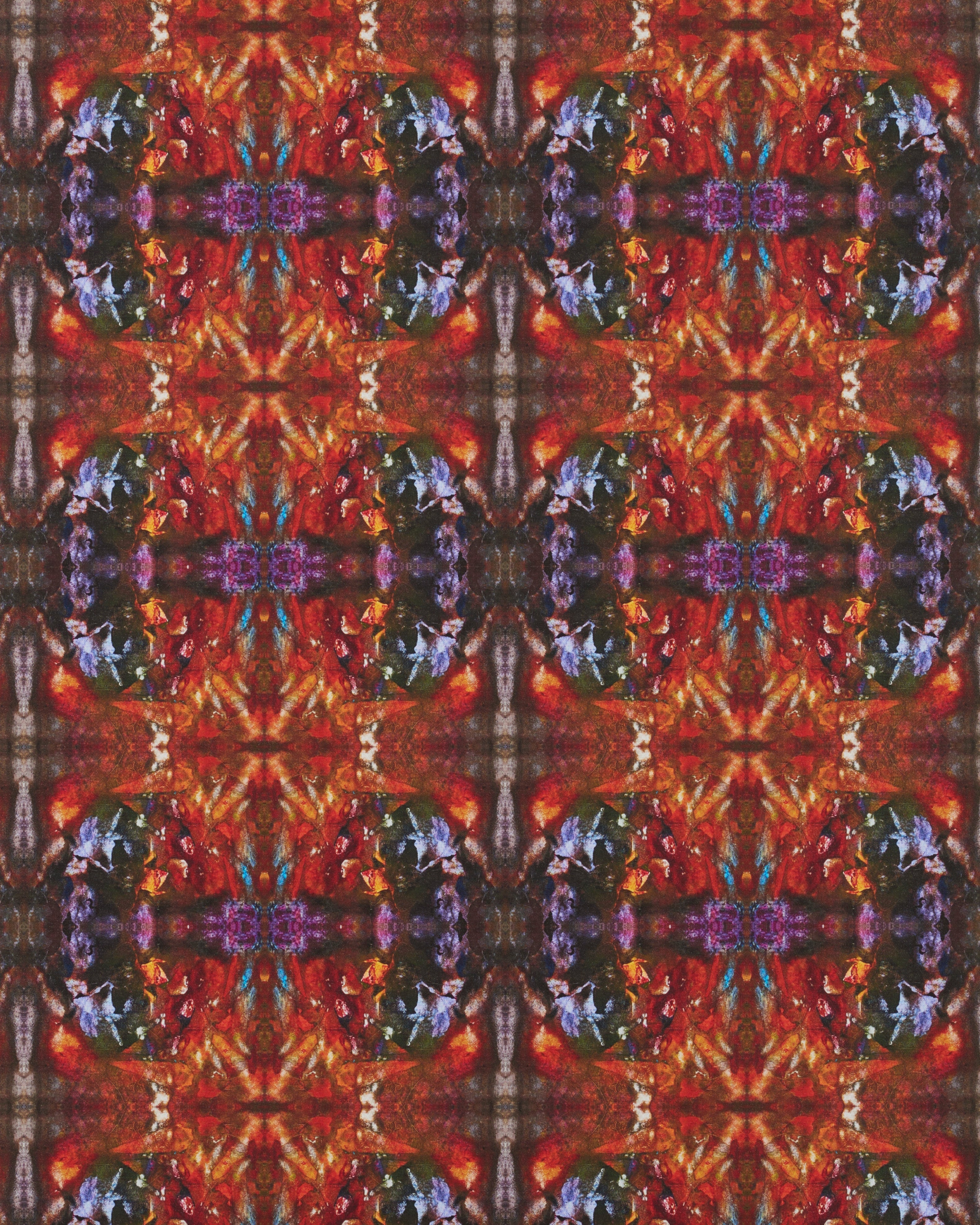 Orange Burst Wallcovering