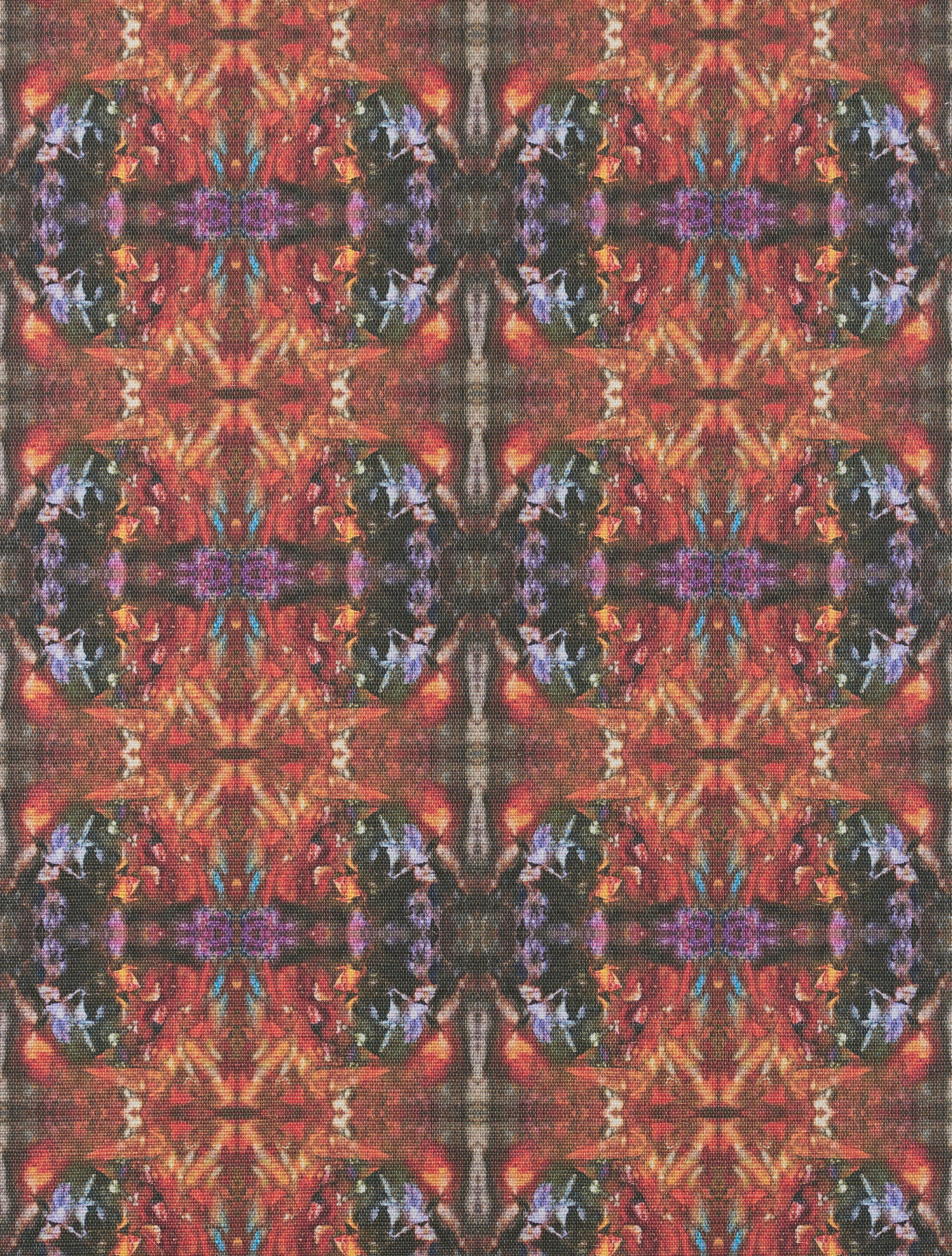 Orange Burst Wallcovering